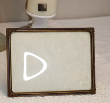 22,5 x 16,5 Prächtiger