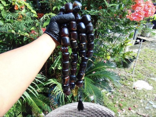 Seltener indonesischer blauer - seltener,