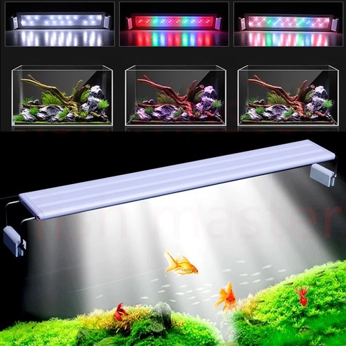 Aquarium led rgb - aquarium,
