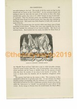 Damen beim Turnier, Kopfkleider, Mode, Buchillustration (Druck), um 1870