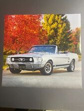 1967 Ford Mustang GT