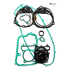 Motor Dichtungssatz für Yamaha YP 250 DX Majesty Bj. 1998-1999