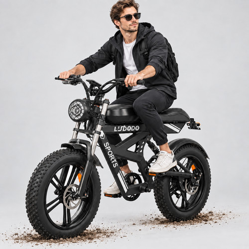 Elektrofahrrad für