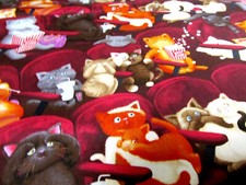 Katzen im Kino Cat    Katze