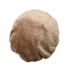 Karlie Hundekissen mit