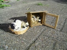 Rarität - Osterhasen