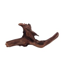 M Driftwood Flußwurzel