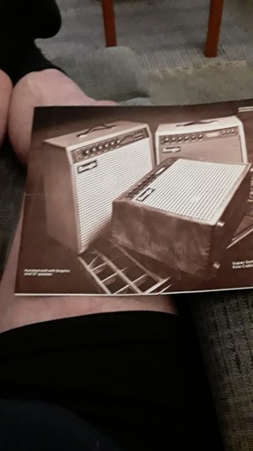 Mesa boogie look - mesa, #look#