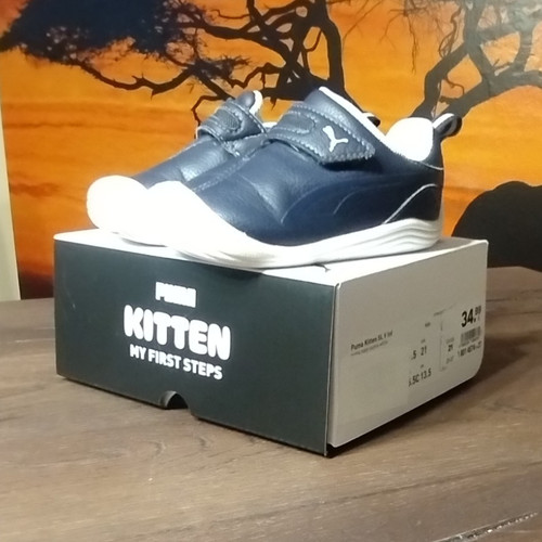 Puma kitten first steps - my,