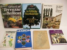 7x Wildblumen Zimmerpflanzen