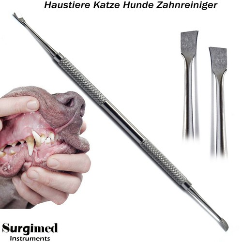 Zahnsteinentferner