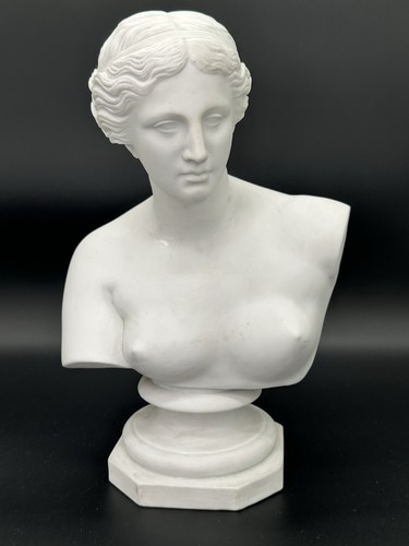 Büste venus von - venus,