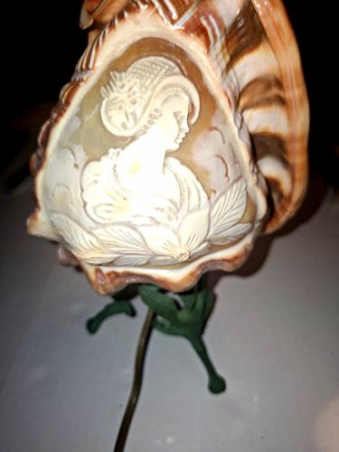 Tischlampe muschel - tischlampe,