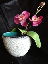 Wächtersbach 6334 Oslo