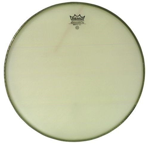 Remo renaissance ambassador - renaissance,