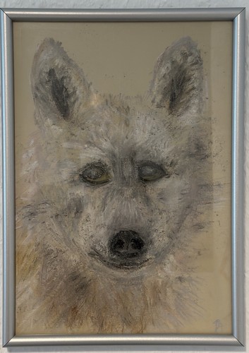 Kreidebild hund - kreidebild,