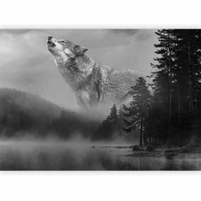 Wolf Natur Landschaft PREMIUM