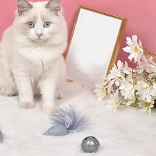 Pet supplies cat toy - pet,