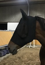 Fliegenmaske von Harrys  Horse -  Schwarz- Größe XL