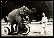 AK Gerhard Quaiser mt einem