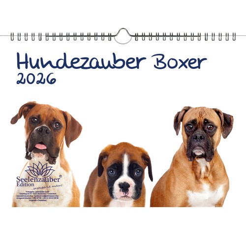 Hundezauber boxer din - din, a4