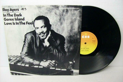 Roy ayers in the - roy, dark