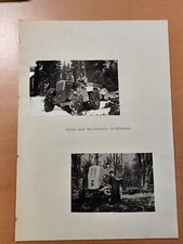 Foto  Nordtrak Stier  Traktor tractor photo   46