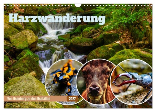 Harzwanderung von ilsenburg - -,