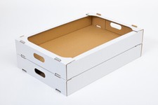 Karton  Krapfen Berliner