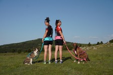 Dog hüftgurt canicross one - hüftgurt,
