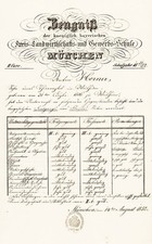 Zeugnis Anton Horner Tierarzt