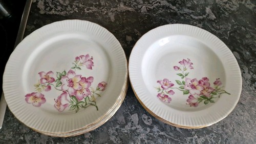 Speiseteller flache 5 - 11,