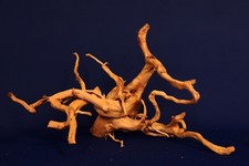 Aquarium Wurzel *58cm* /