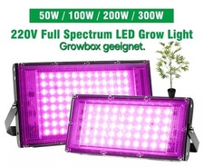 GÜNSTIGESTER 300 Watt LED