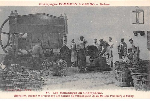 203267 reims die - 51, nr.