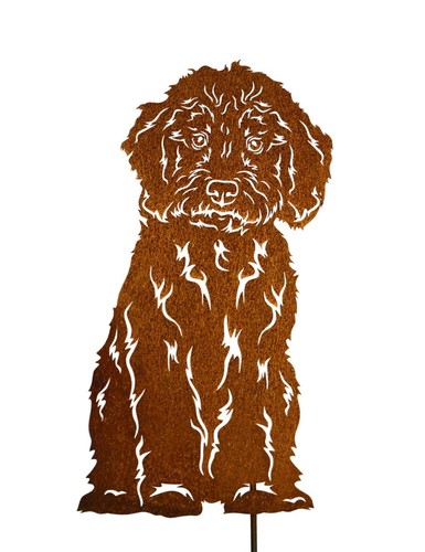Figur labradoodle höhe - figur,