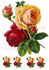 Rosen gelb und rot vintage