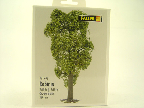 Robinie baum 15 cm - robinie,