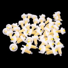 Healthy 50x Dental Dynamic