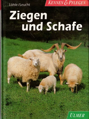 Löhle leucht ziegen - leucht,, und