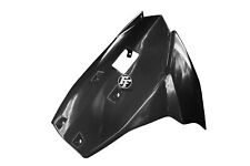 Carbon Frontverkleidung für