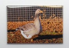 Kühlschrank und Deko Magnet