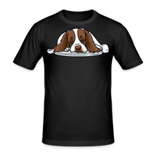 English Springer Spaniel