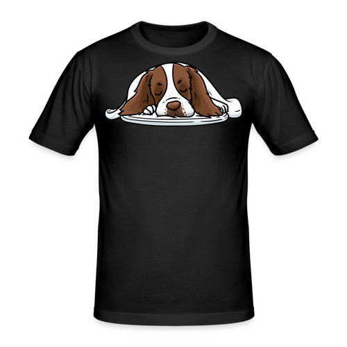 English springer spaniel - english,