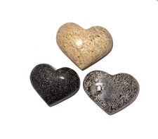 ✦Seltenes Dino-Herz! ✦ Handpolierter Atlasaurus-Knochen (5,5-6,5cm) – 170 Mio. ✦