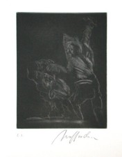 Alfred HRDLICKA, Die