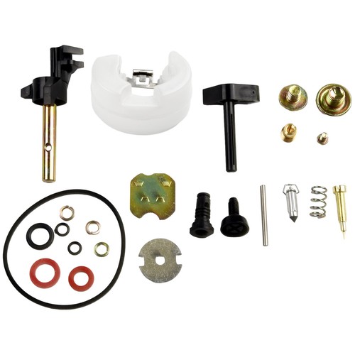 Motor vergaserreparatur - motor,
