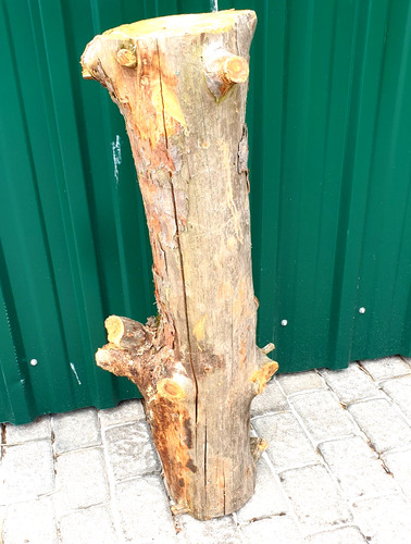 Abstrakter baumstamm natur - abstrakter,