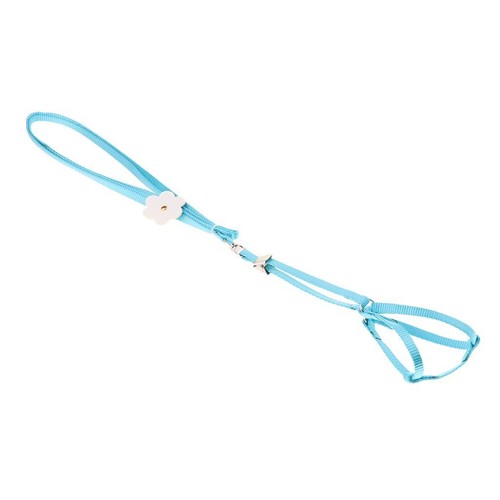 Outdoor-Papagei-Seil-Haustier-