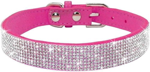 Hundehalsband mit